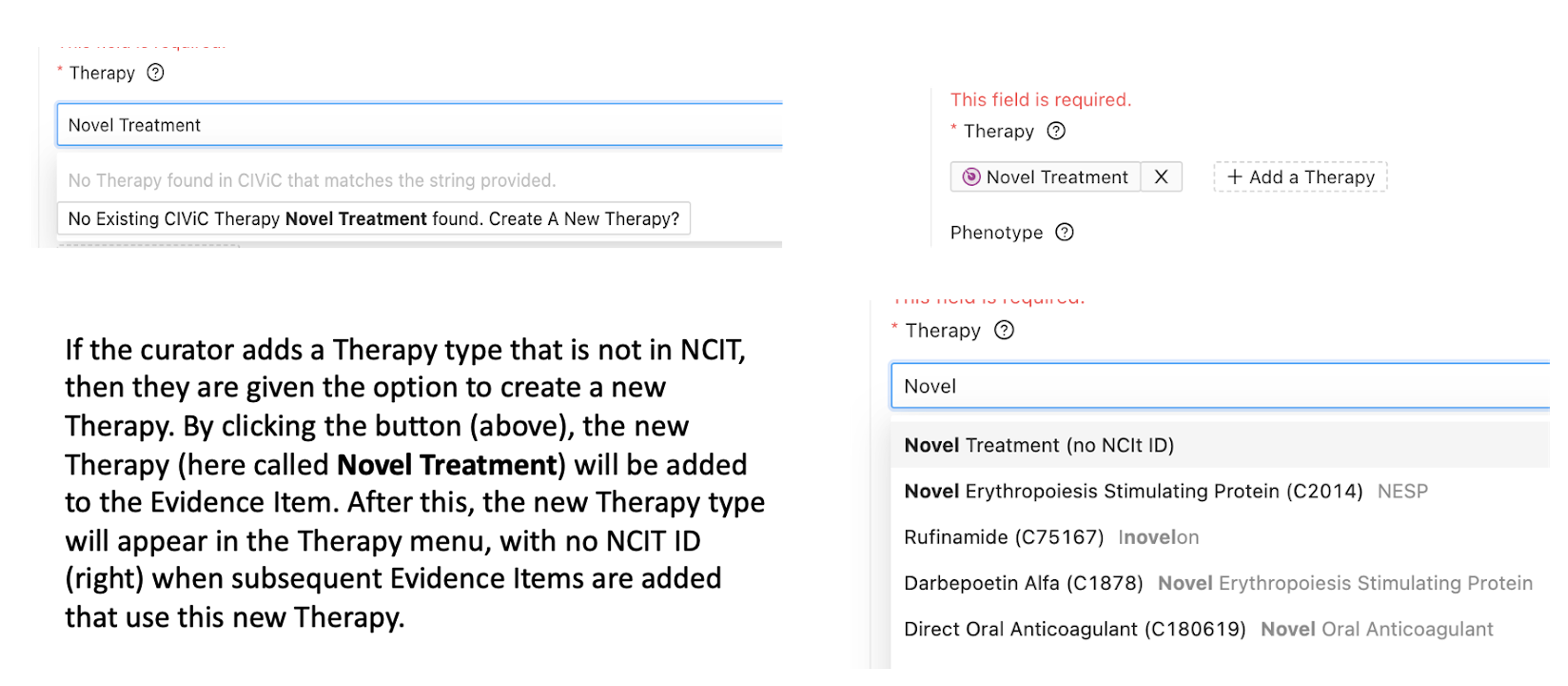 Overview of adding a Therapy not present in NCIT
