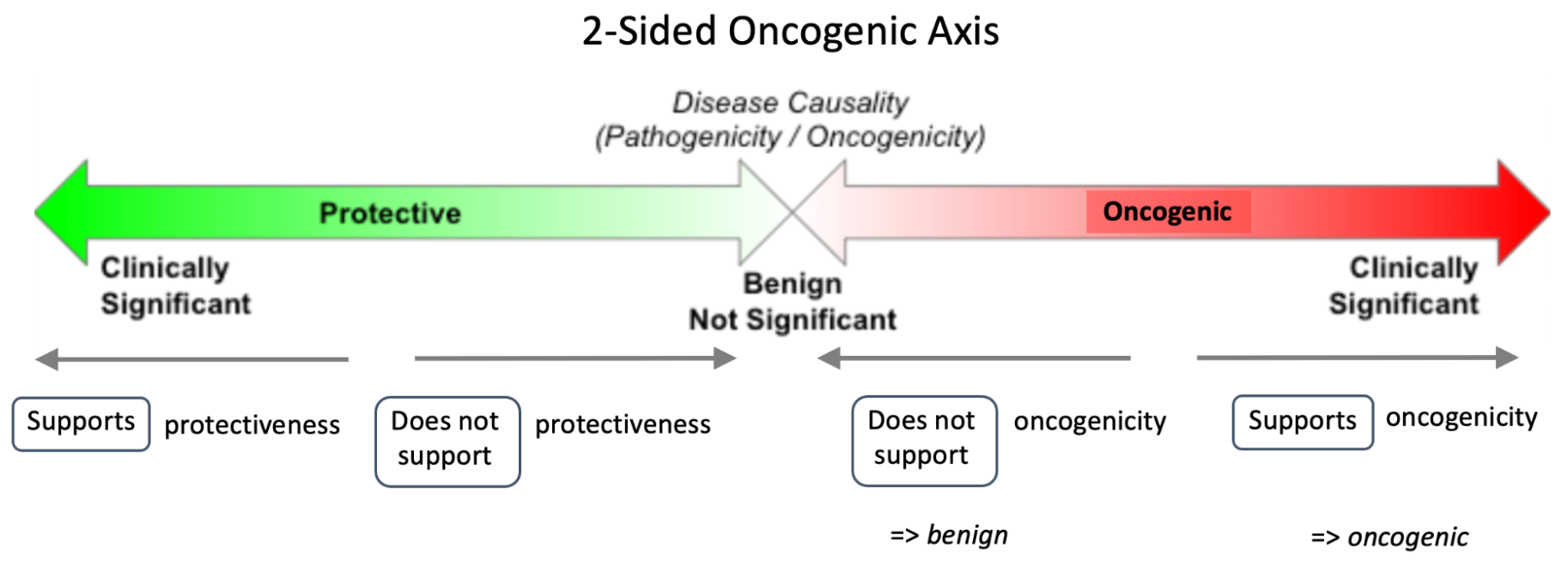 The Oncogenic Evidence Item Significance relates either to cancer protectiveness or oncogenicity.